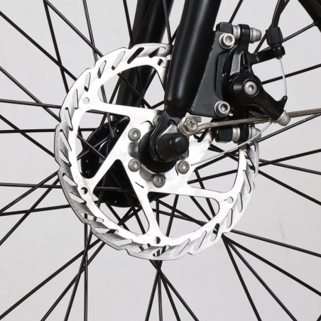 RKS - skyjet MX25 Foldable Electric Bike