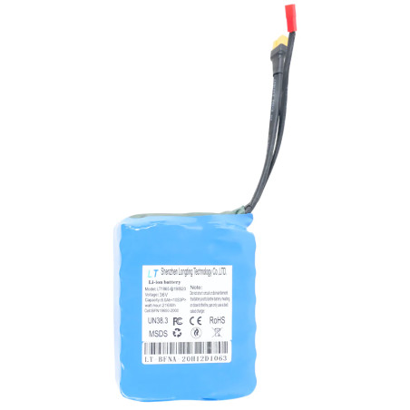 Windgoo & Moovway/Gyroboarder B19, B20 , B20 Pro Accu