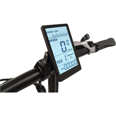 RKS RV-10 / Sky Jet 4S Electric Bike 250W / 36V/15Ah Samsung Battery / 540 Wh