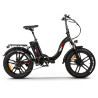 RKS RSI-X PRO Electric Bike 250W / 36V / 10AH / 20Inch