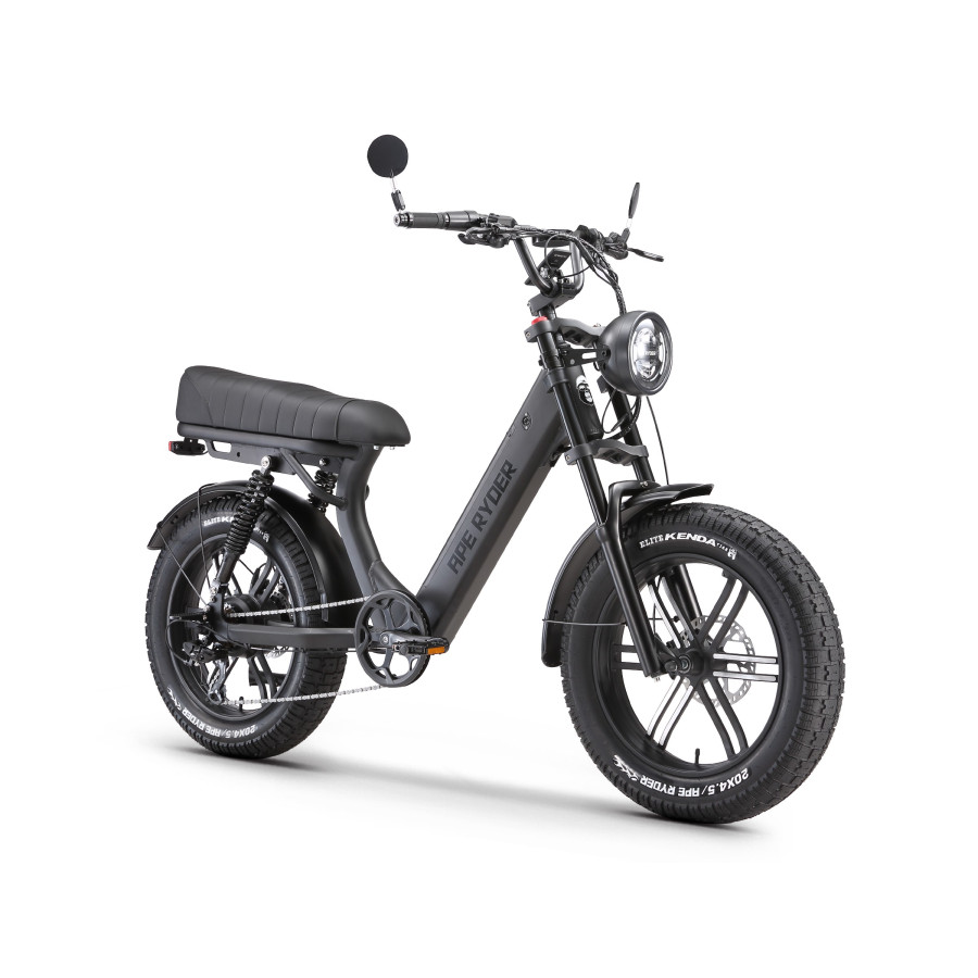 Ape Ryder MD10 Premium Elektrische Fatbike 250W / 48V / 14.5AH / 20Inch Ape Ryder MD10 Premium Elektrische Fatbike 250W / 48V / 14.5AH / 20Inch