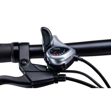 RKS RSII Pro Electric Bike 250W / 36V / 10AH / 20inch