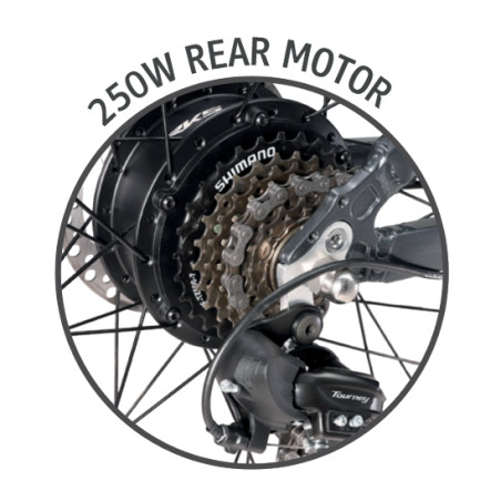 Ape Ryder Buffalo-F Electric Fatbike 250W / 36V / 15Ah /  26 x 4.0 Inch