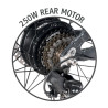 Ape Ryder Buffalo-F Electric Fatbike 250W / 36V / 15Ah /  26 x 4.0 Inch