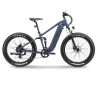 Ape Ryder Buffalo-F Electric Fatbike 250W / 36V / 15Ah /  26 x 4.0 Inch