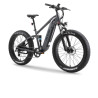 Ape Ryder Buffalo-F Electric Fatbike 250W / 36V / 15Ah /  26 x 4.0 Inch