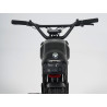 Ape Ryder Gibbon Electric Fatbike 250W / 20Ah / 48V
