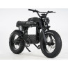 Ape Ryder Gibbon Electric Fatbike 250W / 20Ah / 48V