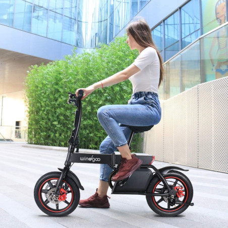 Windgoo B20 14 inch Folding E-Bike With Mobile APP