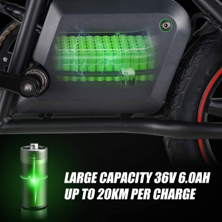 Windgoo B20 14 inch Folding E-Bike With Mobile APP